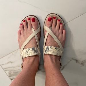 COLE HAAN Leather Sandals - Perfect for Summer!